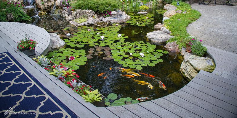 Swim Ponds in Jonesborough, Tennessee