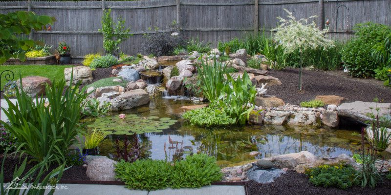 Water Features in Greenville 