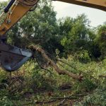 Land Clearing in Kingsport, Tennessee