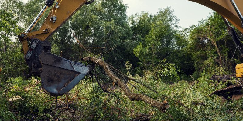 Land Clearing in Bristol, Tennessee