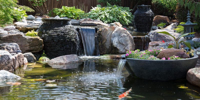 Pond Supplies Gray TN New Hope Aquascapes